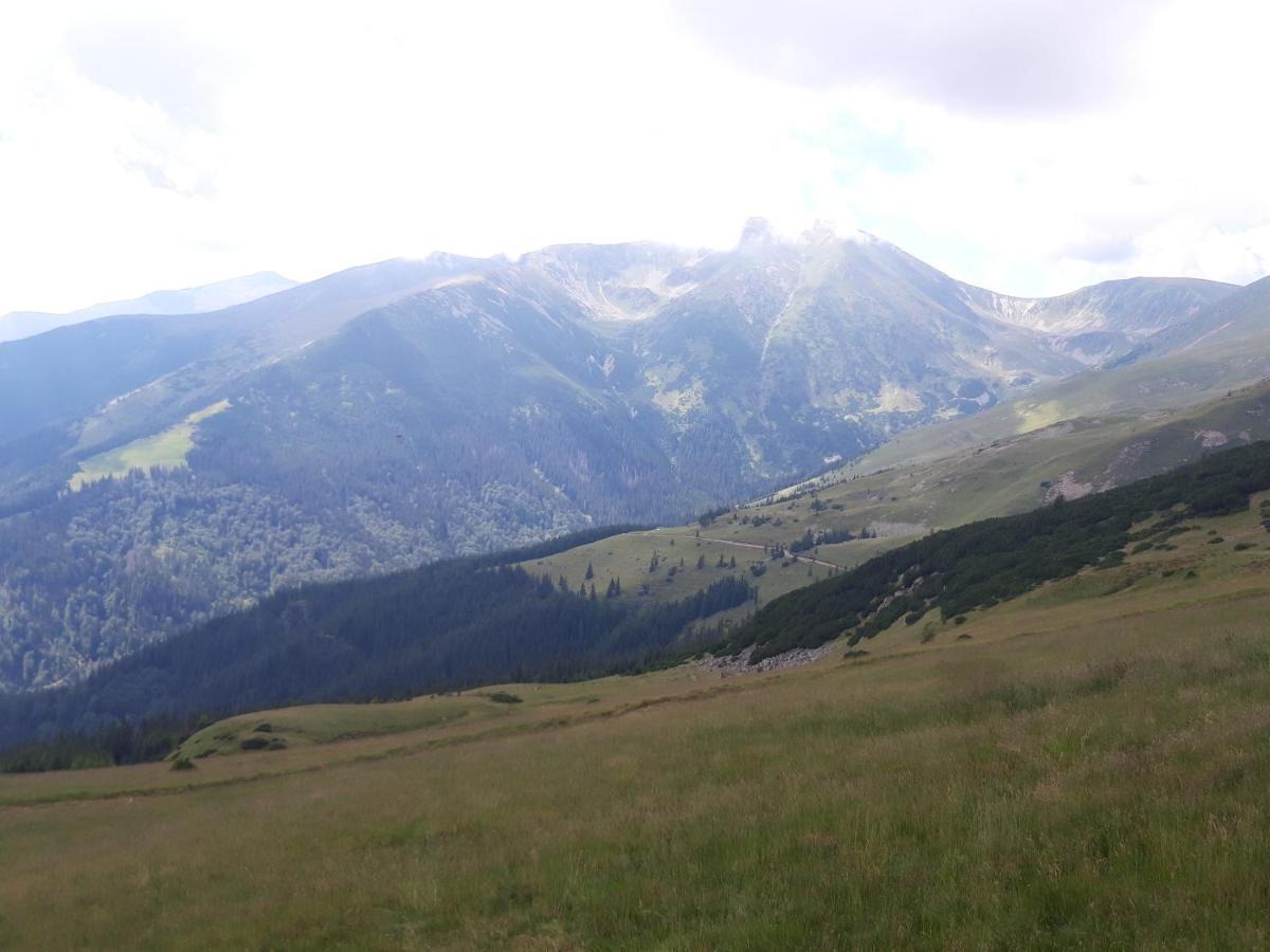 فندق Piatra Rancii رانسا المظهر الخارجي الصورة